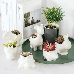 Ceramic Flower Pot Succulent Plant Animals Shape Planters Pots Flowerpot for Home Office Garden Desktop Decor Bonsai Y200709