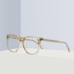 Sonnenbrillenrahmen 20211 Übergang Pochromic Myopie Brillen Fertige Gläser für Frauen Computer Optische FML1