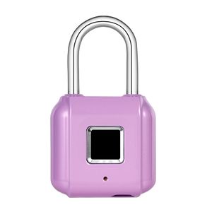 Golden Security Mini USB USB зарядки отпечатков пальцев Smart Padlock для дверного следа Padlock Locker Box шкафчик ящика Lock Y200407