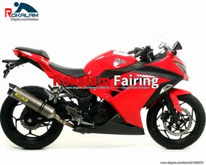 2015 2016 Body Covers For Kawasaki Ninja 300 300R EX300 2013 2014 Fairings EX 300 13-16 Motorcycle Fairing (Injection Molding)