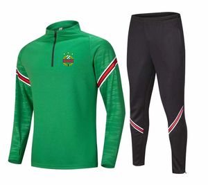 21-22 SK Rapid Wien Men's leisure sports suit semi-zipper long-sleeved sweatshirt outdoor sports leisure training suit size M-4XL
