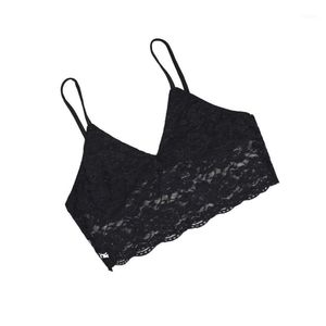 Women's Tanks & Camis Wholesale- Sexy Women Crop Tops Boho Translucent Underwear Sheer Lace Bralette Lingerie Bra H341