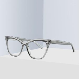Sunglasses Frames 2021 Transition Pochromic Myopia Eyeglasses Finished Glasses For Women Computer Optical FML1