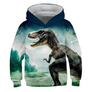 Chłopcy Dziewczęta Dinozaur Pogatnianie Bluzy Jesień Zima Nastolatki Kids Animal Hoodie Infantil Toddler Boy Kostiumy Bluza Odzież 220115