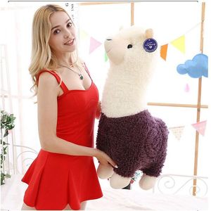 2022 Creative Alpaca plysch leksak docka alpaca kudde söta dockor ragdoll sovande gråt willow barn jul födelsedag gåvor