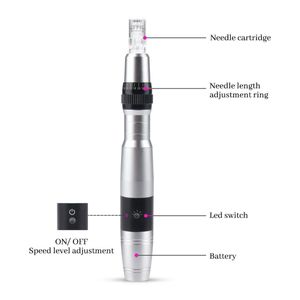 Auto Micro Igłowanie Derma Pen LED Photon Derma Stamp Micloneedle Dermapen DP17 Home Odnowienie skóry z 6 sztuk Cartridges Express Air Dostawa