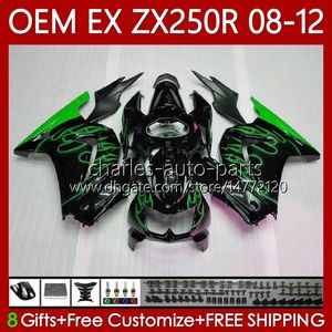 Mold wtryskowy OEM Korpus dla Kawasaki Ninja ZX250R ZX 250R Green Flames ZX250 08-12 Bodywork 81No.69 EX250 EX250R 08 09 10 11 12 ZX-250R 2008 2009 2011 2012 Właścicied