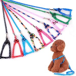 Adjustable Cat Dog Collar Leash Dog Pet Lead Harness Chest Back Belt Traction Rope Pet Supplies Puppy Walking Printed Leashes WDH1344 T03