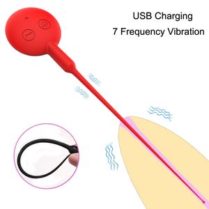 Massage USB Rechargeable Urethral Plug Uretral Catheter Penis Vibrator Sound Insertion Cock Chastity Catheter Penis Sex Toys for Men Gay