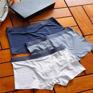 Azul Branco Cinza 3 Peças Underwear Terno Para Mens Clássicos All Cottn Simple Joker Everyday Briefs com caixa de presente