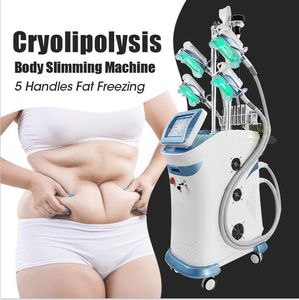 5 W 1 360 CRYOLIPOLISIS Maszyna Odchudzająca 40k Lipantaż Lipolaser RF Odchudzanie Wadę Wadą Mlekki Slim Sprzęt Anti Cellulit Ciała Ciała Rzeźba