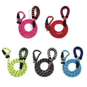 Dog Collar Smycz P Chain Smycz Smycz Slip Collar Pet Walking Prowadzi Nylon Góry Wspinaczka Rope Szczeniak Trakcja Dla małych średnich Dużego Dogów1