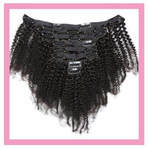 Brazilian Virgin Human Hair Natural Color Clip In On Afro Kinky Curly Popular 8-22inch Wholesale