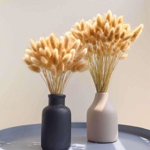 Steli di erba di Pampas essiccati Code di coniglio Fiori per arrangiamenti Puntelli per foto Hried Bundle Oggettistica per la casa Coda naturale Coniglio Piccolo bouquet da sposa Boho Fiore