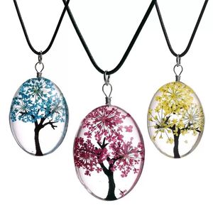 Oval Tree Of Life Glass Necklaces For Women Dried flowers specimen Pendant Leather chain Fashion Jewelry Gift