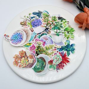 27pcs plantas suculentas bonitas cactus adesivo diário planejador de caderno scrapbooking / mão livro fino papel adesivo C0125