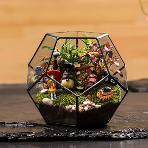 Ufficio Display da tavolo Fioriera Pianta grassa Contenitore Vaso da fiori Fata Giardino Poliedro Vetro geometrico Terrario Bonsai Y200723