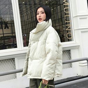 Women Letter Embroidery Down Jackets Fashion Trend Cropped Bubble Outerwear Designer Female Winter Fleece Fur Collar Lapel Puffer Coats