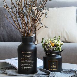 Nordic Black White Glass Vazen Hydroponics Plant Bloem Woondecoratie voor Bloemboeket met Vaas Bruiloft Tafeldecoratie