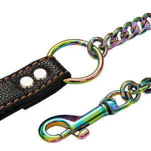 316L Stainless Steel Pet Dog Leash Fully Welded NK Chain Leather Leash Outdoor Training Pet Leash222c