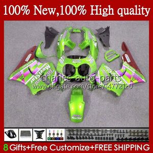 Honda Movistar Green CBR 893RR 900RR CBR900 CBR893 900 893 CC RR 95HC134 CBR900RR 1994 1997 1997 CBR893RR 94 95 96 97