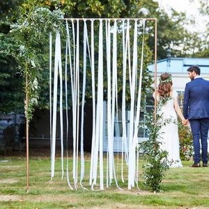 Party Decoration Wedding Backdrop & Stands With Flower And Grain Ribbon Frame