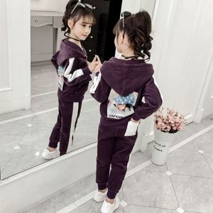 Kızlar Bahar Bahar Sonbahar Kış Yeni Sıcak Kız Giyim Seti 2 PCS Küçük Çocuk Karikatür Giysisi Velor Tops + Pantolon