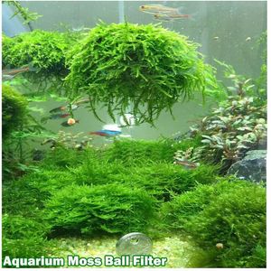 Aquarium Marimo Moss Ball Live Plants For Java Shrimps Sisch Tank Decorations Oraments272N