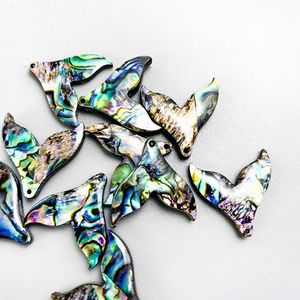 Betta Fish Tank 5pcs Abalone Shell Pendants Natural Starms Fishtail Pendants لصنع المجوهر