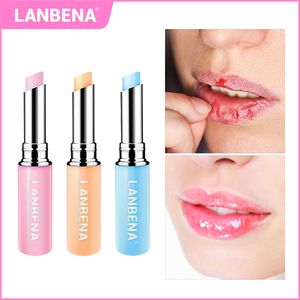 Lanbena Chameleon Lip Bálsamo Rose Hidratante Nutritivo Lip Plumper Reduzir linhas finas Extrato Natural Batom Makeup