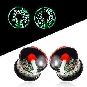 1 Pair Pyrex Glass Ear Plugs and Tunnele Kolczyk Wskaźniki Expander Nearser Chrząstki Tragus Wtyczki Tunel Piercing Body Jewelry