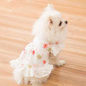 Prinsessan blomma spets klänning vår sommar kläder för små fest hund kjol valp husdjur kostym husdjur outfits 201128