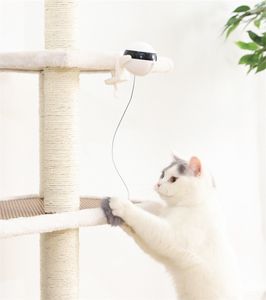 Gatti Cani Giocattolo elettronico Prodotti per animali domestici Teaser Cat Interaction Benefit Intelligence Power Driven Lifting Ball Toys Nuovo arrivo 25mc J2