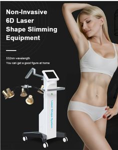 Máquina poderosa da beleza de Sliming de Sliming de 6d de 6D com 532nm corporal verde do corpo de contorno Maquina Laser Fat Burner Peso Equipamento