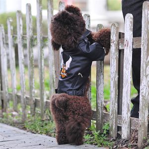 Glorious Eagle Pattern Dog Coat PU Leather Jacket Soft Waterproof Outdoor Puppy Outerwear Fashion Clothes For Small PetXXS-XXL T248S