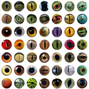 Doll simulation eyeball hemisphere Craft Tools animal eye DIY jewelry accessories time gem glass patch ring face Tool