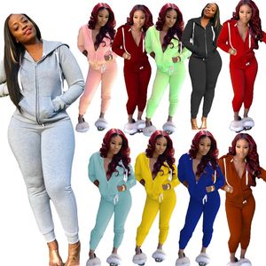 2020 Primavera Mulheres Terno Tracksuit Cor Sólida Sportwear Longa Manga Com Capuz Zíper Dois Peças Definir Casaco + Long Calças Outfit Clubwear