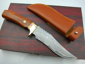 Promotion 9.4 Inch Damascus Fixed Blade Hunting Knife VG10-Damascus Steel Blade Wood+Brass Handle Straight Knives With Leather Sheath