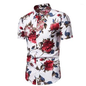 Camisas casuais masculinas moda veloce mass de manga curta havaiana vestido camisa havaí 1