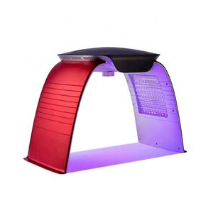 Macchina per terapia fotonica leggera a 7 colori PDT LED con vapore nano spray per la cura della pelle del viso spray caldo e freddo