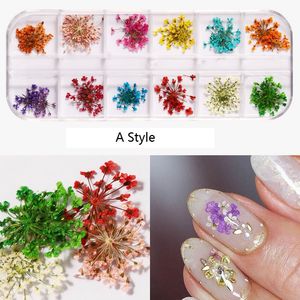 NA054 12 colori fiori secchi adesivi fai da te 3D ornamenti di fiori secchi decorazioni d'arte con scatola gel per unghie glitter strumenti per manicure