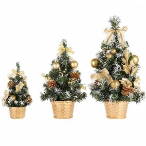 Mini alberi di Natale Decorazioni natalizie Un piccolo albero di pino collocato nel desktop Festival di Natale Ornamenti per la casa 15cm-40cm1