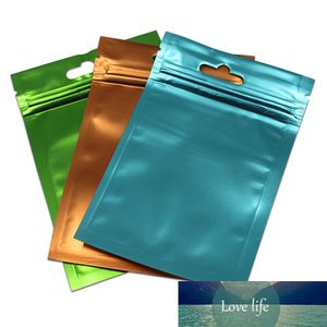 100Pcs Temizle Ön Açılıp kapanabilir asın Delik Mylar Folyo Takı paketleri ile Zip Kilit Plastik Saklama Poşet Perakende Poly Kılıfı
