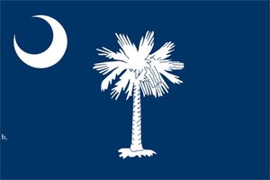 Флаг Каролины оптовых-3x5 FTS см Соединенные Штаты Южная Каролина Государственный флаг полиэстер баннер Флаги СК СТРОЙ Прямой завод RRD13293