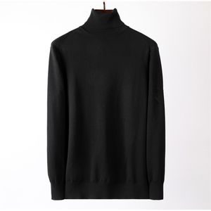 2021 FW Winter New Turtleneck herrtröja mode högkvalitativ långärmad stickad tröja för män Smala varma tröjor