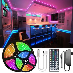 Upuść paski LED 16,4 stopy 32,8 stóp 49 stóp 65 stóp RGB Light DC12V 5050SMD LED z adapterem i kontrolerem IR 44keys