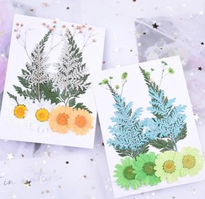 Decorative Flowers Wreaths Set Mixed Pressed Dried Daisy Flower Leaves Filler For Epoxy Resin Jewelry Making Postcard Frame Phone Case Cr