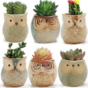 Sublimación Nueva Creative Succulents Cerámica Flor Pote Owl Pulgar Pequeñas Potes Pequeños Piedra Transpirable Cerámica Handicraft Decoración