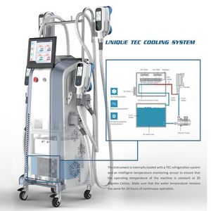 Máquina de congelamento de gordura multifuncional 5 lida com perda Peso Cool Body Sculping Cryolipólise Fat Freeze Slimming Machine