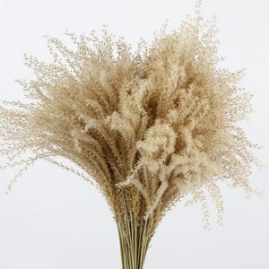 20 pezzi Pampas erba decorazioni natalizie vera pampas erba canna naturale ornamenti vegetali secchi decorazione di nozze mazzo di fiori Y200903